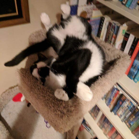 Meet your Posher, Mike - Picture 1 of 1